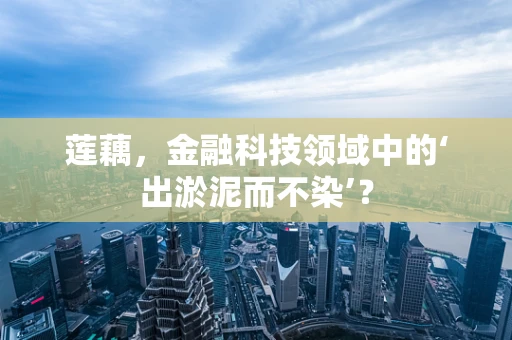 莲藕，金融科技领域中的‘出淤泥而不染’？