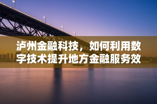 泸州金融科技，如何利用数字技术提升地方金融服务效率？