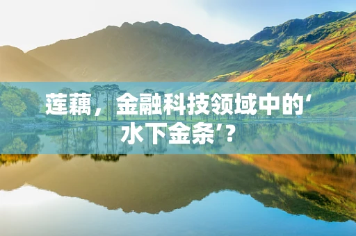 莲藕，金融科技领域中的‘水下金条’？