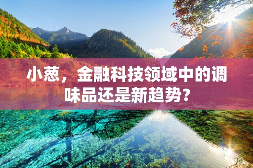 小葱，金融科技领域中的调味品还是新趋势？