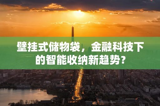 壁挂式储物袋，金融科技下的智能收纳新趋势？