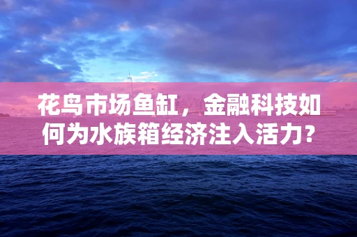 花鸟市场鱼缸，金融科技如何为水族箱经济注入活力？