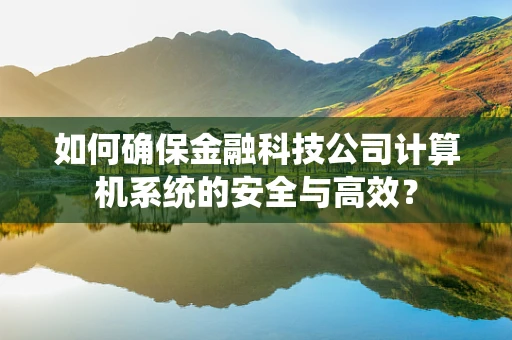 如何确保金融科技公司计算机系统的安全与高效？