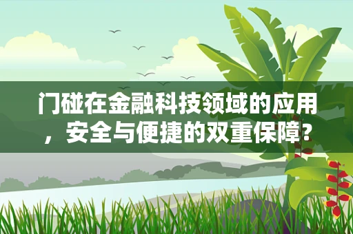 门碰在金融科技领域的应用，安全与便捷的双重保障？