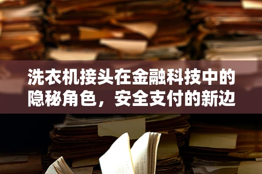 洗衣机接头在金融科技中的隐秘角色，安全支付的新边疆？