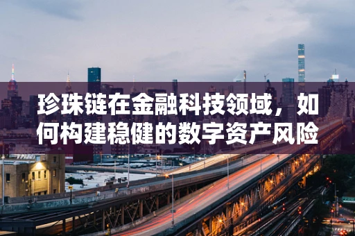 珍珠链在金融科技领域，如何构建稳健的数字资产风险管理链？