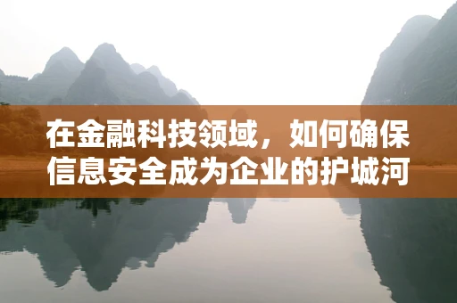 在金融科技领域，如何确保信息安全成为企业的护城河？