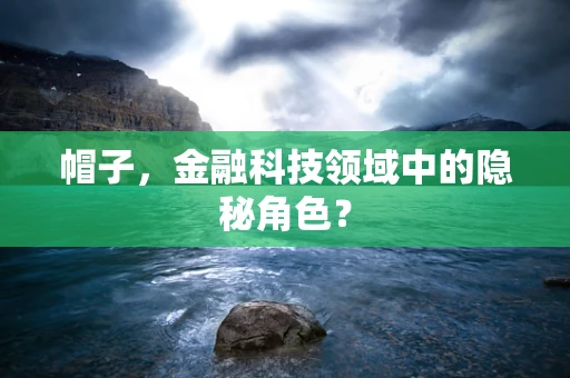 帽子，金融科技领域中的隐秘角色？