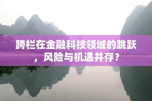 跨栏在金融科技领域的跳跃，风险与机遇并存？