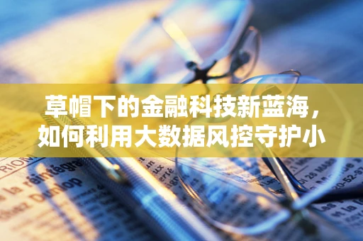 草帽下的金融科技新蓝海，如何利用大数据风控守护小微企业？