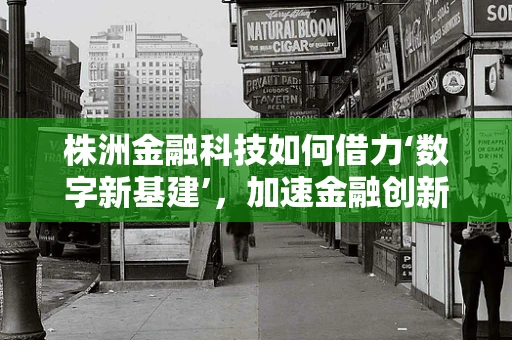 株洲金融科技如何借力‘数字新基建’，加速金融创新与普惠？