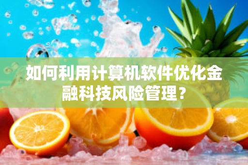 如何利用计算机软件优化金融科技风险管理？