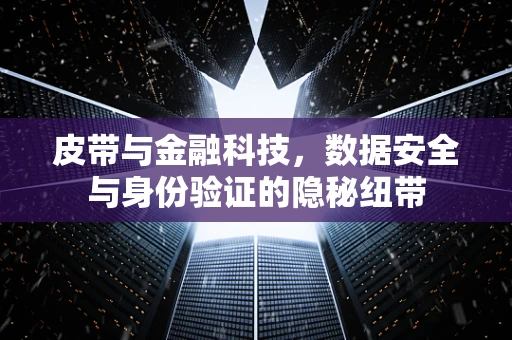 皮带与金融科技，数据安全与身份验证的隐秘纽带