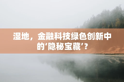 湿地，金融科技绿色创新中的‘隐秘宝藏’？