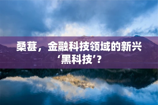 桑葚，金融科技领域的新兴‘黑科技’？