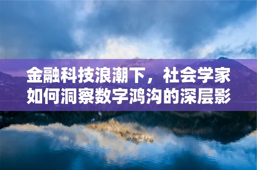 金融科技浪潮下，社会学家如何洞察数字鸿沟的深层影响？