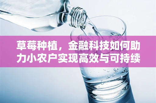 草莓种植，金融科技如何助力小农户实现高效与可持续？