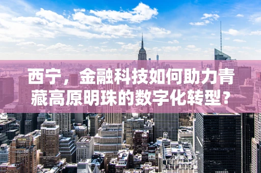 西宁，金融科技如何助力青藏高原明珠的数字化转型？