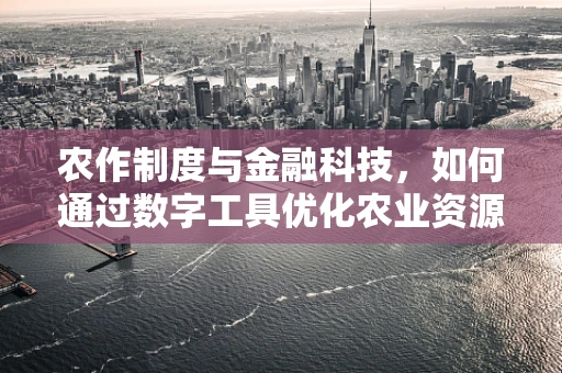 农作制度与金融科技，如何通过数字工具优化农业资源配置？