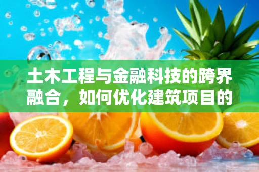 土木工程与金融科技的跨界融合，如何优化建筑项目的资金管理？