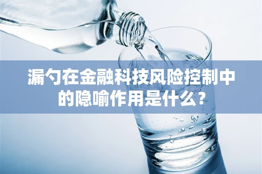 漏勺在金融科技风险控制中的隐喻作用是什么？