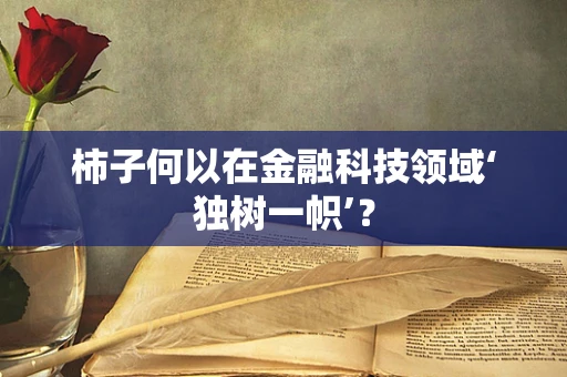 柿子何以在金融科技领域‘独树一帜’？