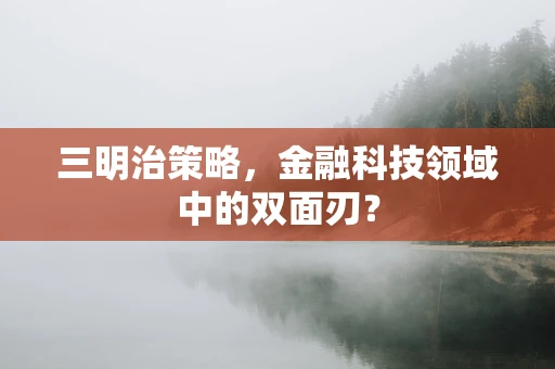 三明治策略，金融科技领域中的双面刃？