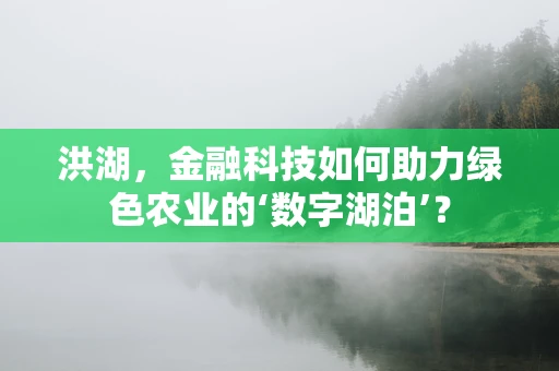 洪湖，金融科技如何助力绿色农业的‘数字湖泊’？