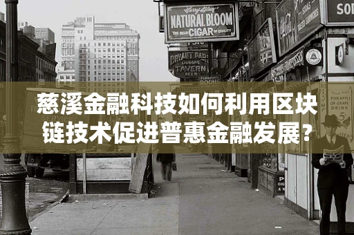 慈溪金融科技如何利用区块链技术促进普惠金融发展？