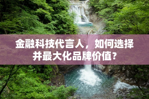 金融科技代言人，如何选择并最大化品牌价值？