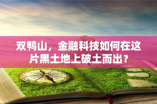 双鸭山，金融科技如何在这片黑土地上破土而出？