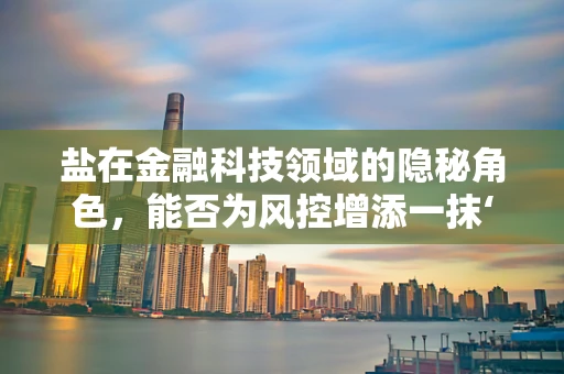 盐在金融科技领域的隐秘角色，能否为风控增添一抹‘咸’味？