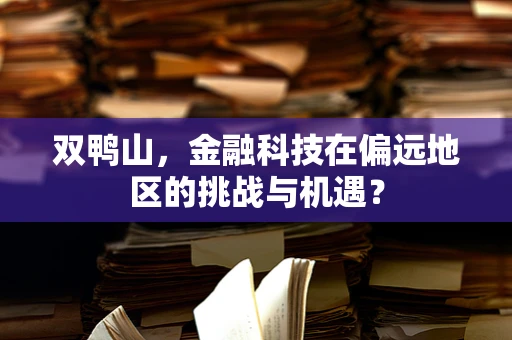 双鸭山，金融科技在偏远地区的挑战与机遇？