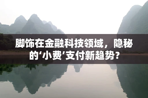 脚饰在金融科技领域，隐秘的‘小费’支付新趋势？