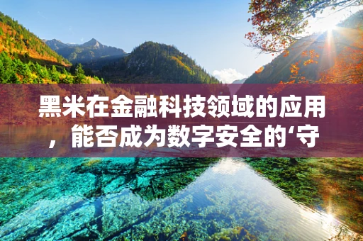 黑米在金融科技领域的应用，能否成为数字安全的‘守护者’？