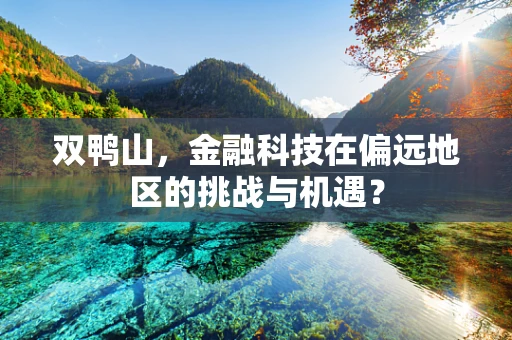 双鸭山，金融科技在偏远地区的挑战与机遇？