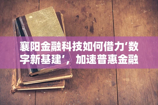 襄阳金融科技如何借力‘数字新基建’，加速普惠金融落地？