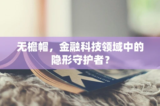 无檐帽，金融科技领域中的隐形守护者？