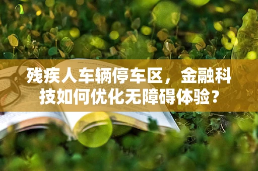 残疾人车辆停车区，金融科技如何优化无障碍体验？