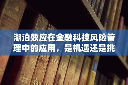 湖泊效应在金融科技风险管理中的应用，是机遇还是挑战？