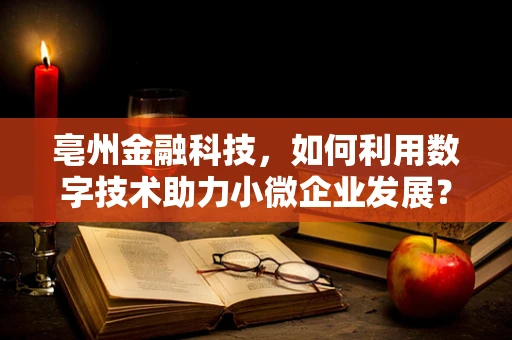 亳州金融科技，如何利用数字技术助力小微企业发展？