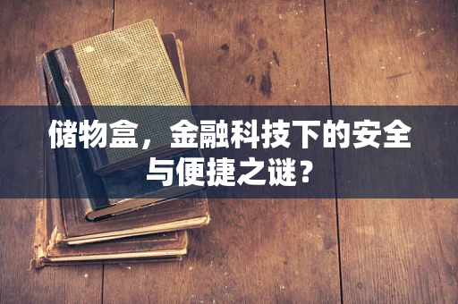 储物盒，金融科技下的安全与便捷之谜？