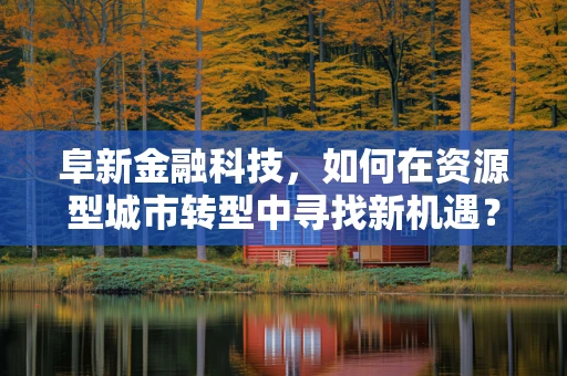 阜新金融科技，如何在资源型城市转型中寻找新机遇？