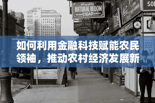 如何利用金融科技赋能农民领袖，推动农村经济发展新动力？