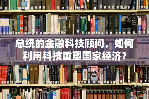 总统的金融科技顾问，如何利用科技重塑国家经济？