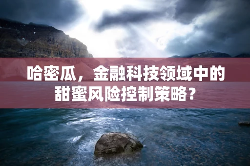 哈密瓜，金融科技领域中的甜蜜风险控制策略？