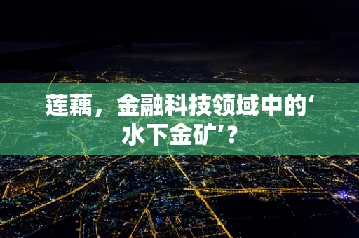 莲藕，金融科技领域中的‘水下金矿’？