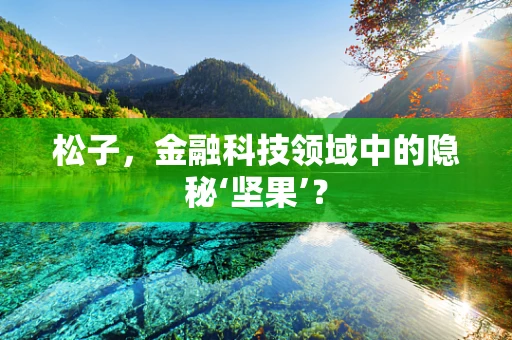 松子，金融科技领域中的隐秘‘坚果’？