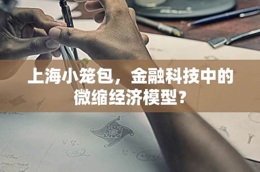 上海小笼包，金融科技中的微缩经济模型？