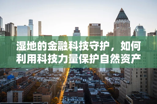 湿地的金融科技守护，如何利用科技力量保护自然资产？